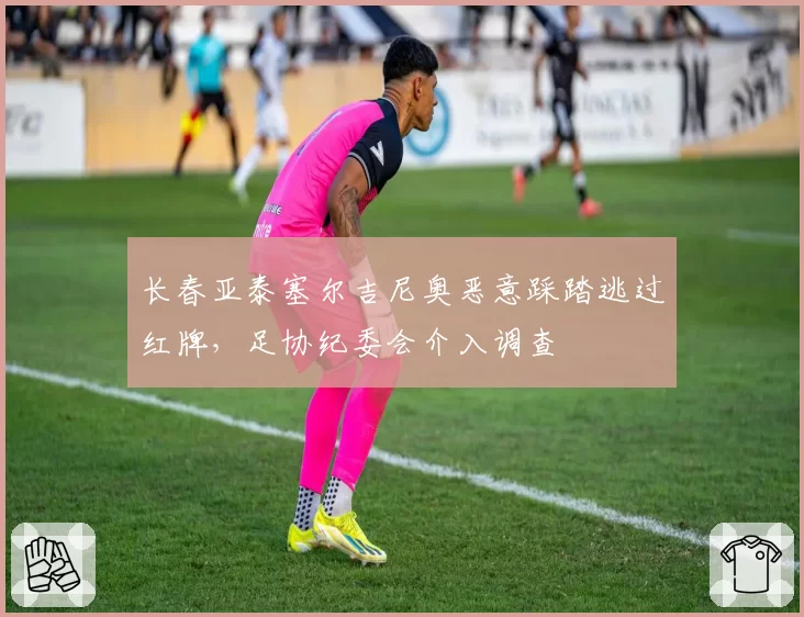 长春亚泰塞尔吉尼奥恶意踩踏逃过红牌，足协纪委会介入调查
