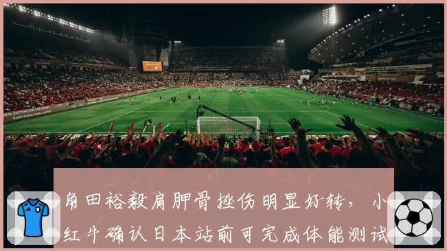角田裕毅肩胛骨挫伤明显好转,小红牛确认日本站前可完成体能测试