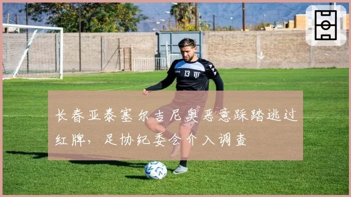 长春亚泰塞尔吉尼奥恶意踩踏逃过红牌，足协纪委会介入调查